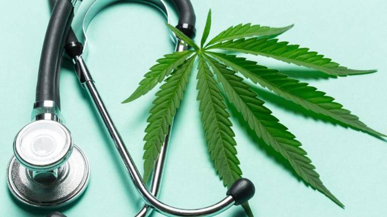 El cannabis reduce síntomas del Parkinson, según estudio