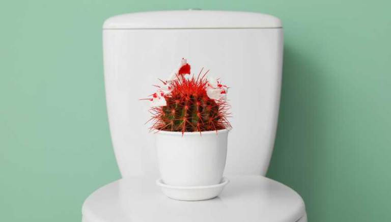 $!Salud femenina: las razones por las que siempre debes sentarte en la taza del baño