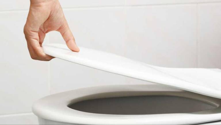 $!Salud femenina: las razones por las que siempre debes sentarte en la taza del baño