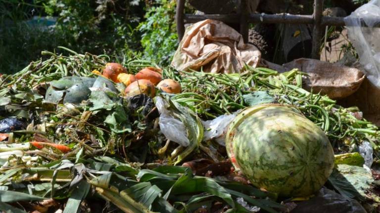 En Ecuador se desperdician 939.000 toneladas de alimentos al año, ¿cómo evitarlo?