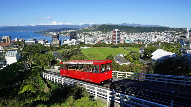 Nueva Zelanda requiere más de 75.000 trabajadores extranjeros: Estas son las profesiones que buscan