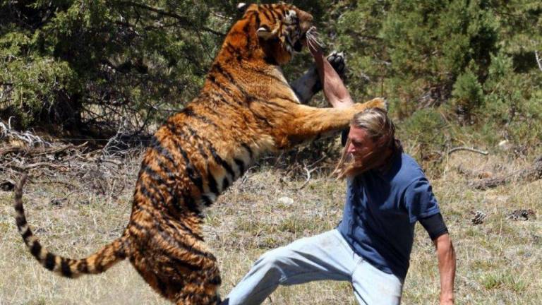 Un tigre ataca al entrenador frente a espectadores