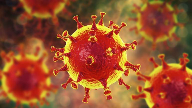 Las 5 características que hacen al coronavirus tan mortal en los humanos