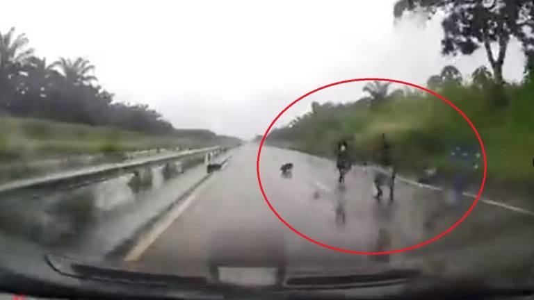 VIDEO capta nueva modalidad de robo en una carretera de Quevedo: conductor logró evadir a antisociales