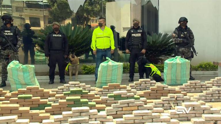 El olfato de un can permitió hallar una tonelada de droga en Guayaquil que pretendía ser llevada a Libia