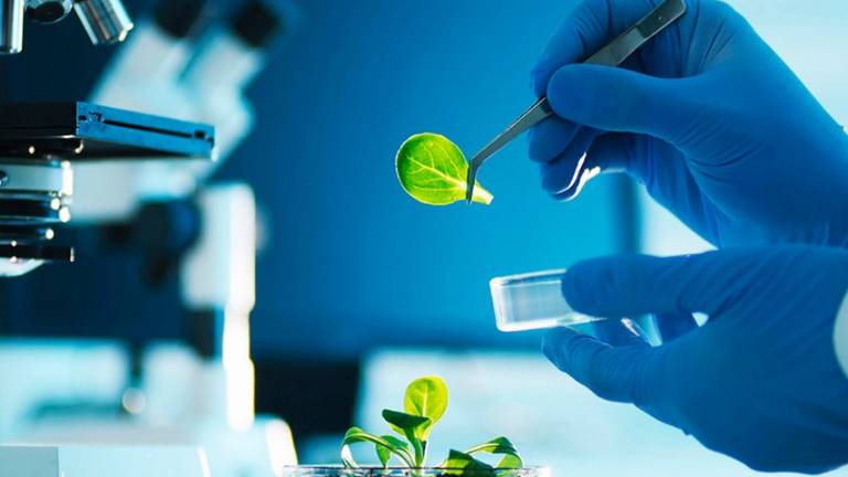 40% de la investigación científica de Ecuador son proyectos con España