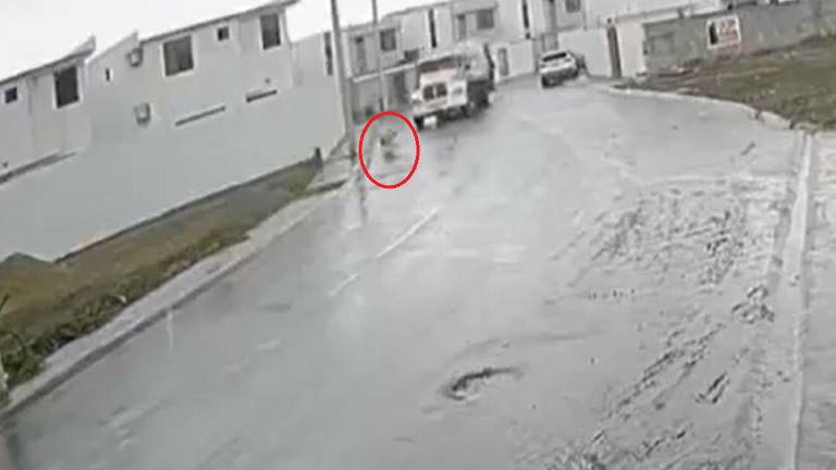 Alcalde de Manta difunde video del instante en que un camión intenta atropellar a unos perros