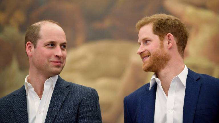 Comunicado conjunto: Harry y William denuncian una “historia falsa” en la prensa
