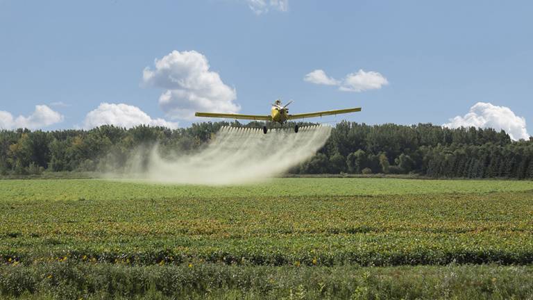 Reanudan en frontera colombiana fumigaciones con glifosato, producto cancerígeno