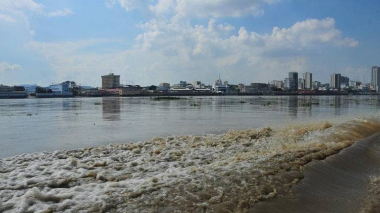Convocarán nueva licitación para dragado de islote en río Guayas
