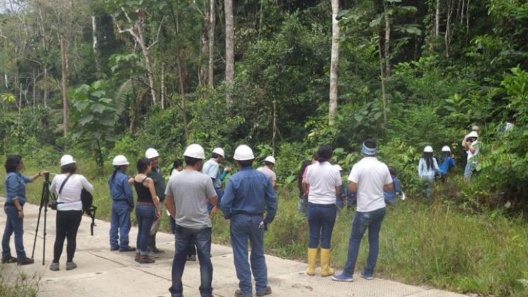 Petroamazonas contrata servicios nacionales para bloque 43-ITT