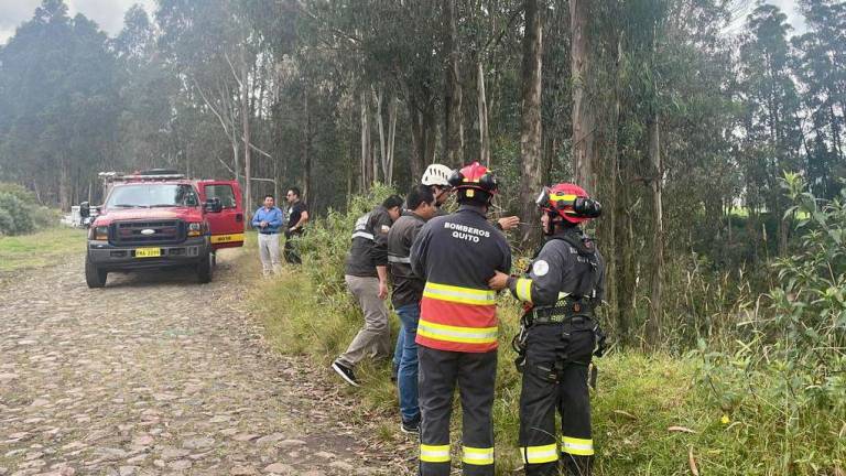 En un bosque hallaron restos óseos que pertenecerían a una mujer reportada como desaparecida en Quito