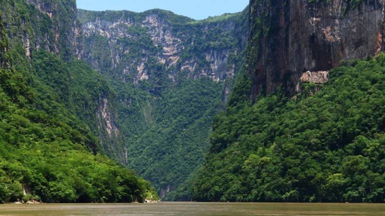 Videos pornográficos grabados en área natural de México y difundidos en redes escandalizan a las autoridades