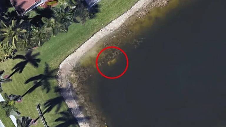 Google Earth revela restos de hombre desaparecido hace 22 años