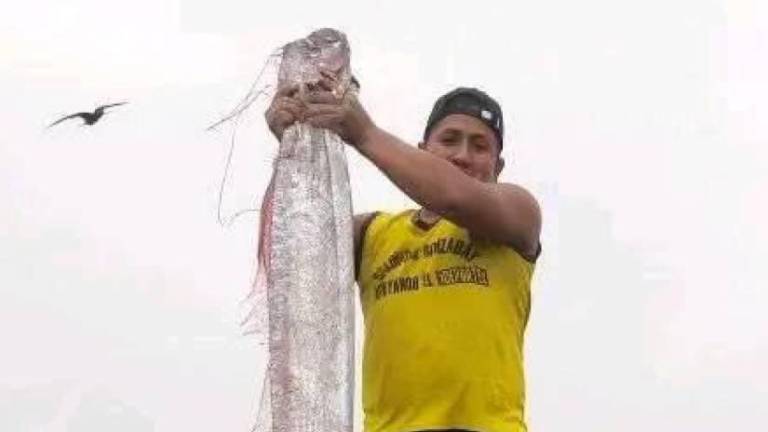 Instituto Geofísico descarta relación de peces remo capturados en Ecuador con predicción de sismos