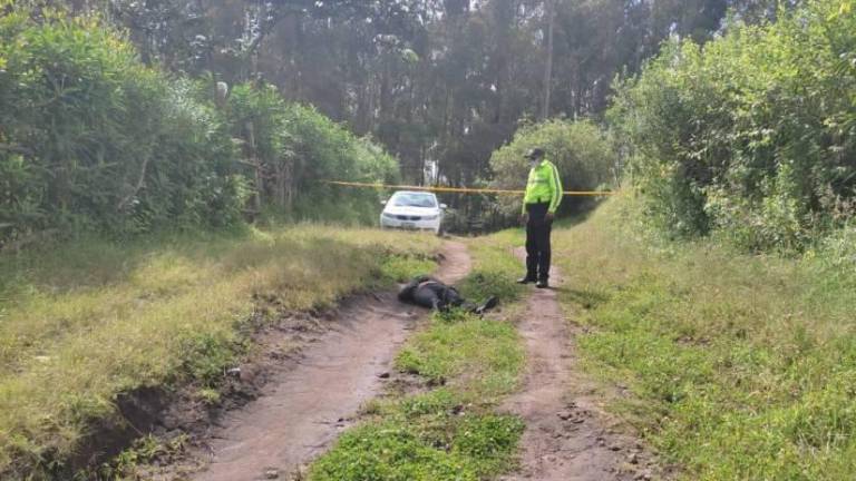 Revelan detalles de la última vez que vieron a 'Don Naza' con vida: vimos cómo le pegaban con una pistola”