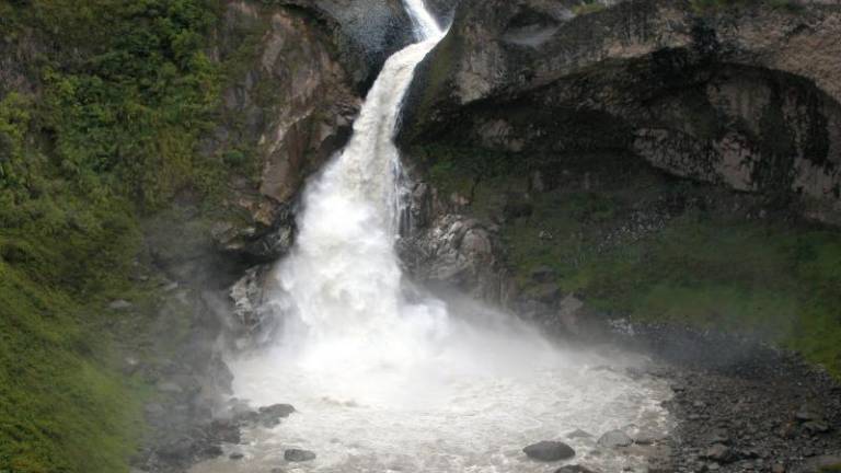 Ecuador anuncia la creación de un biocorredor amazónico: ¿En qué consiste la iniciativa para proteger la naturaleza?