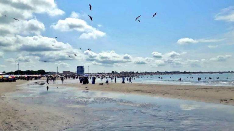 Evento musical puso en peligro a tortugas marinas en área protegida de Playas; Ministerio de Ambiente anuncia acciones