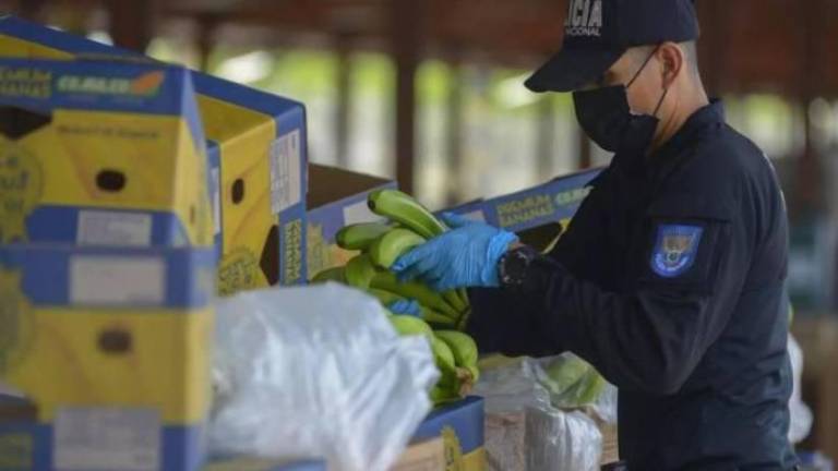 VIDEO: Más de 400 kilos de cocaína fueron incautados entre cajas de banano en Guayaquil