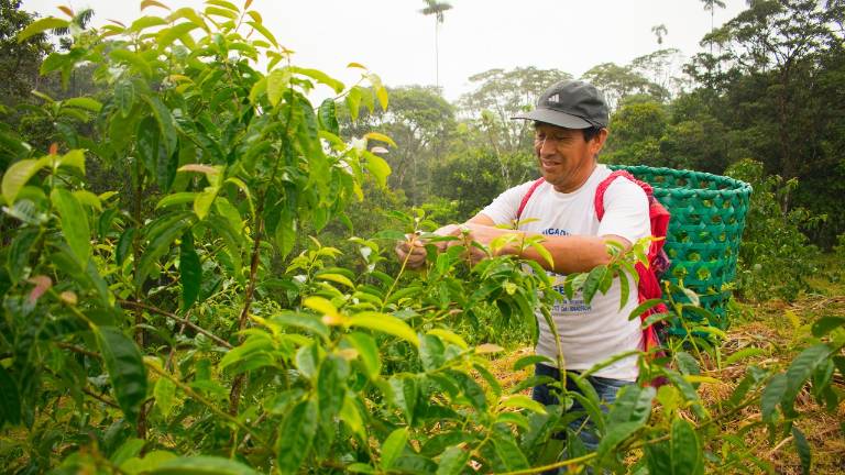 Convenio busca promover la investigación y el desarrollo del agro