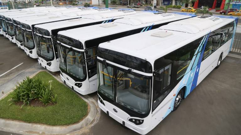 Buses eléctricos llegaron para transporte urbano en Guayaquil