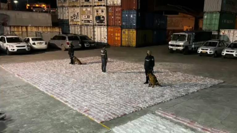 Decomisan en uno de los terminales portuarios de Guayaquil tres toneladas de cocaína