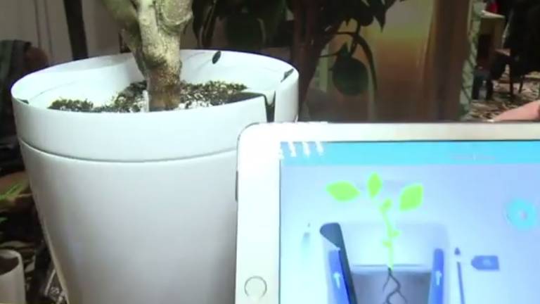Macetas inteligentes que riegan y controlan las plantas