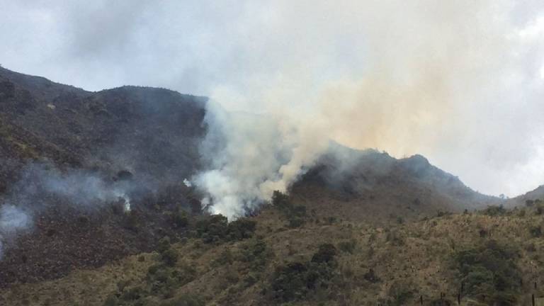 Incendio en El Cajas: entre 180 y 200 hectáreas afectadas