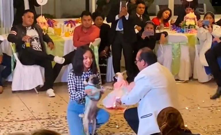 $!Familia organizó fiesta de fiesta de XV años a su perrita y se volvió viral
