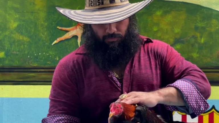 Hijo de seis años de alias 'Fito' habría sido abandonado durante fuga en Venezuela