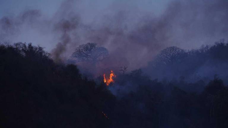 El incendio forestal del Cerro Azul, en Guayaquil, afectó 36 hectáreas. Este tipo de emergencia se acrecentó debido a la falta de lluvias.