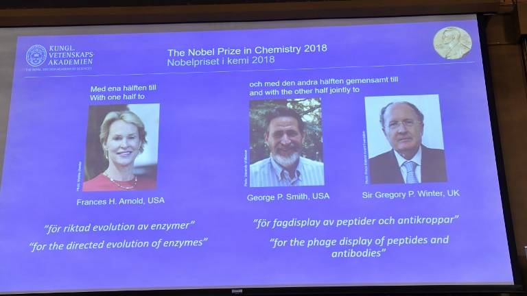 El Nobel de Química premia trabajos sobre proteínas