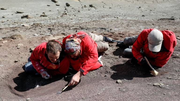 Hallan el huevo de dinosaurio más pequeño nunca antes visto