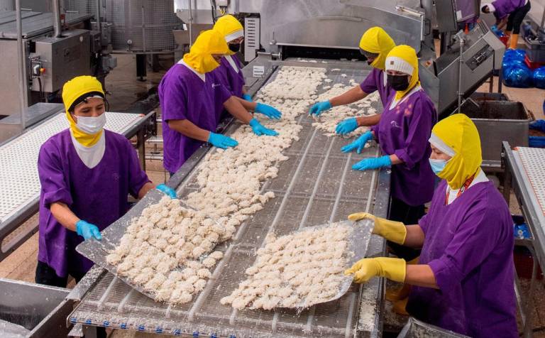 $!Se espera que con los procesos de negociación de acuerdos comerciales se abran nuevas posibilidades para las exportaciones de camarón de Ecuador.