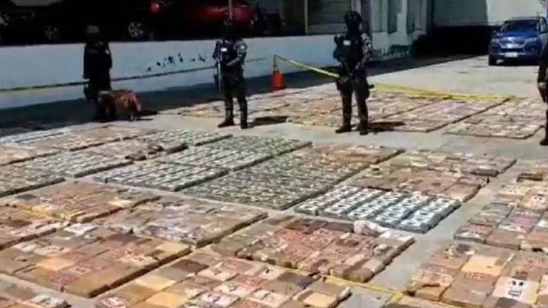 Policía encuentra media tonelada de droga en cargamentos que iban a Israel, España y Bélgica