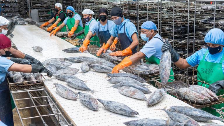Ecuador impulsa la pesca sostenible en el marco del ODS 14