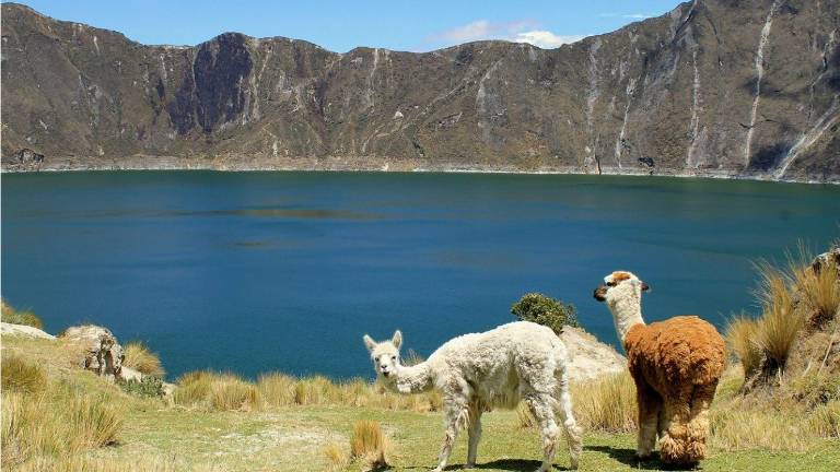 Firman convenio de cooperación científica en Ecuador