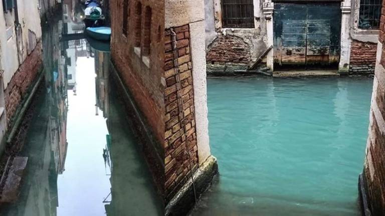 Canales de Venecia cristalinos asombran a los italianos