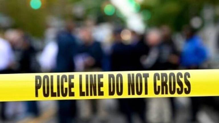 Mató a su hermano por intentar dispararle a un oso y luego se suicidó