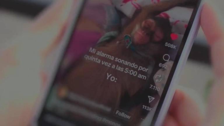 Fotografía referencial de una publicación que muestra a un mono retenido en una vivienda como mascota.