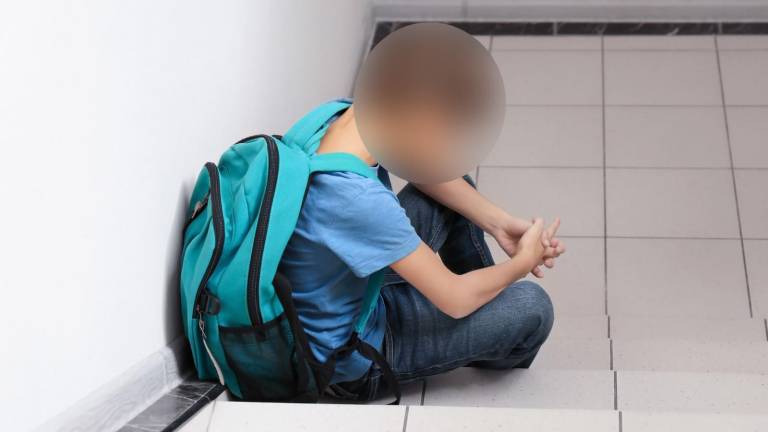 Secretaría de Educación activa protocolos tras caso de acoso entre niños en colegio de Quito