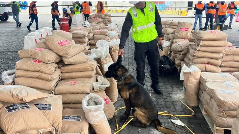 Guayaquil: Hallan 748 kilos de cocaína mezclados con cemento de exportación en el puerto de Posorja