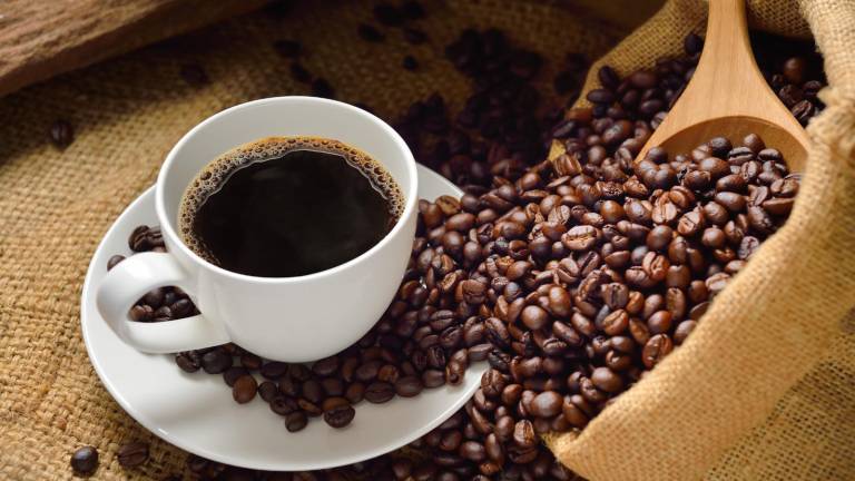 Asamblea declara a Loja “Capital del Café del Ecuador”