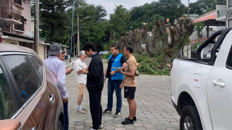 Aquiles Alvarez tilda de 'ecocidio' la tala de nueve ficus en ciudadela Las Garzas