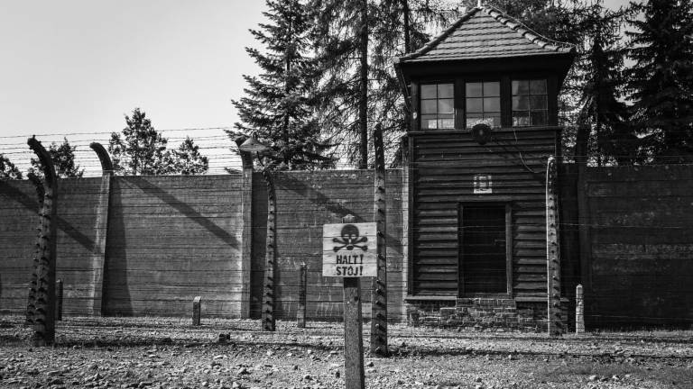 Miles de documentos sobre víctimas del nazismo son expuestos en Internet
