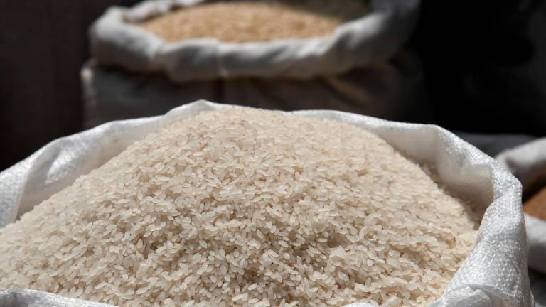 Colombia aplica arancel a frijoles, arroz y aceites provenientes de Ecuador