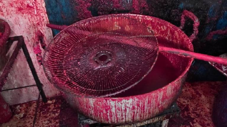 Clausuran panificadora en Guayaquil tras hallar heces de roedor en hornos