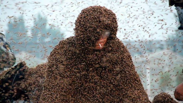 Hombre cubre su cuerpo con miles de abejas para batir récord