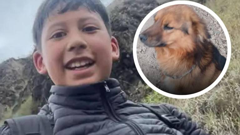 'Era un ángel': Lucas Campaña sobrevivió al frío del cerro Puñay abrazando a un perro