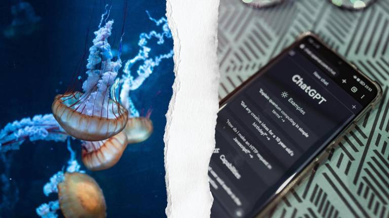 Qué ganas de ser una medusa